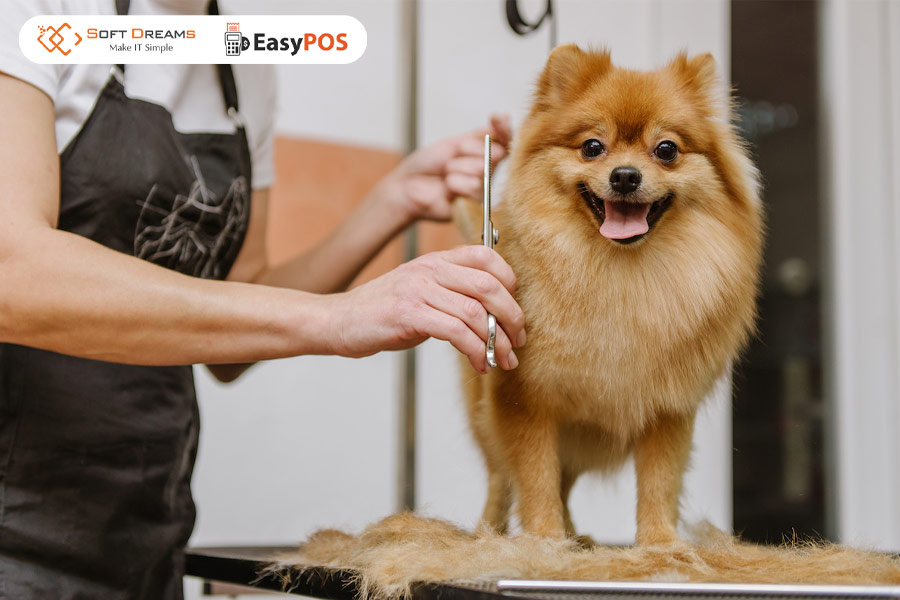 Dịch vụ chăm sóc thú cưng tại nhà: linh hoạt, vốn đầu tư nhỏ